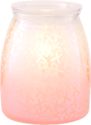 Scentsy Cause Warmer